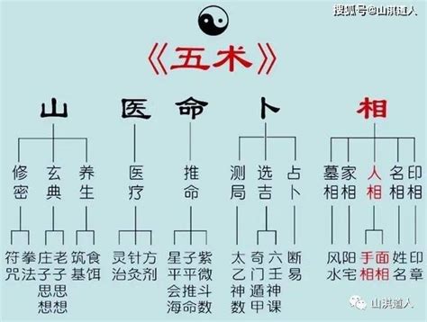 山醫命卜相|山医命相卜（玄学五术）